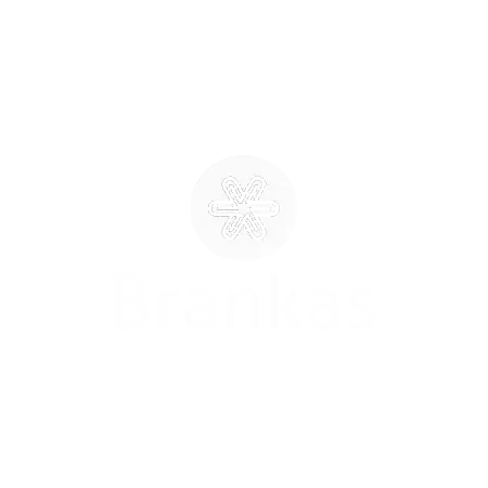 brankas fintech company indonesia